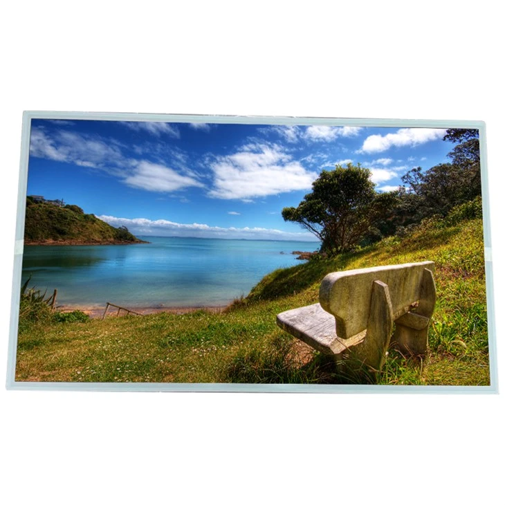 DV270QU1-M00 27.0 Pulzier 3840*2160 LCD Display Screen