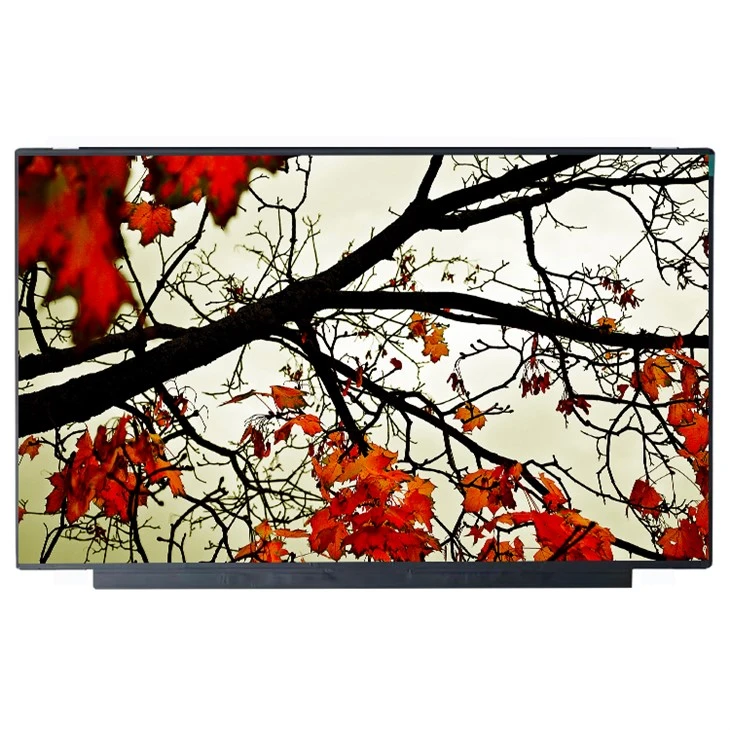 NS160WU0-M60 LCD Panel 16.0 Pulzier 1920 * 1200 LCD Screen